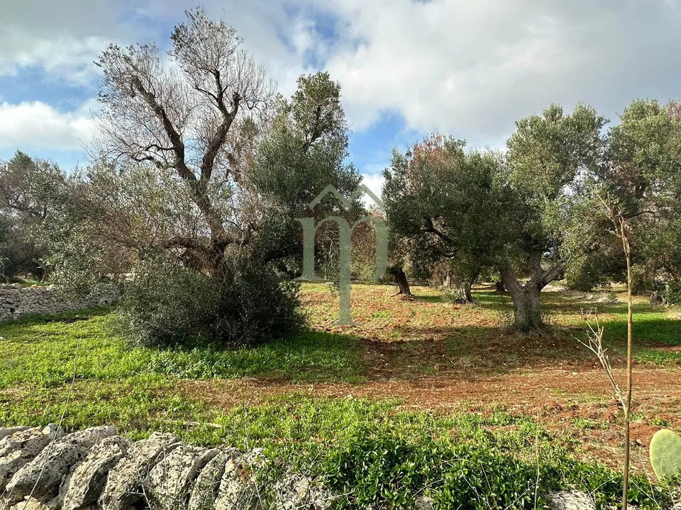 Tomt i Carovigno, Brindisi - bilde 2